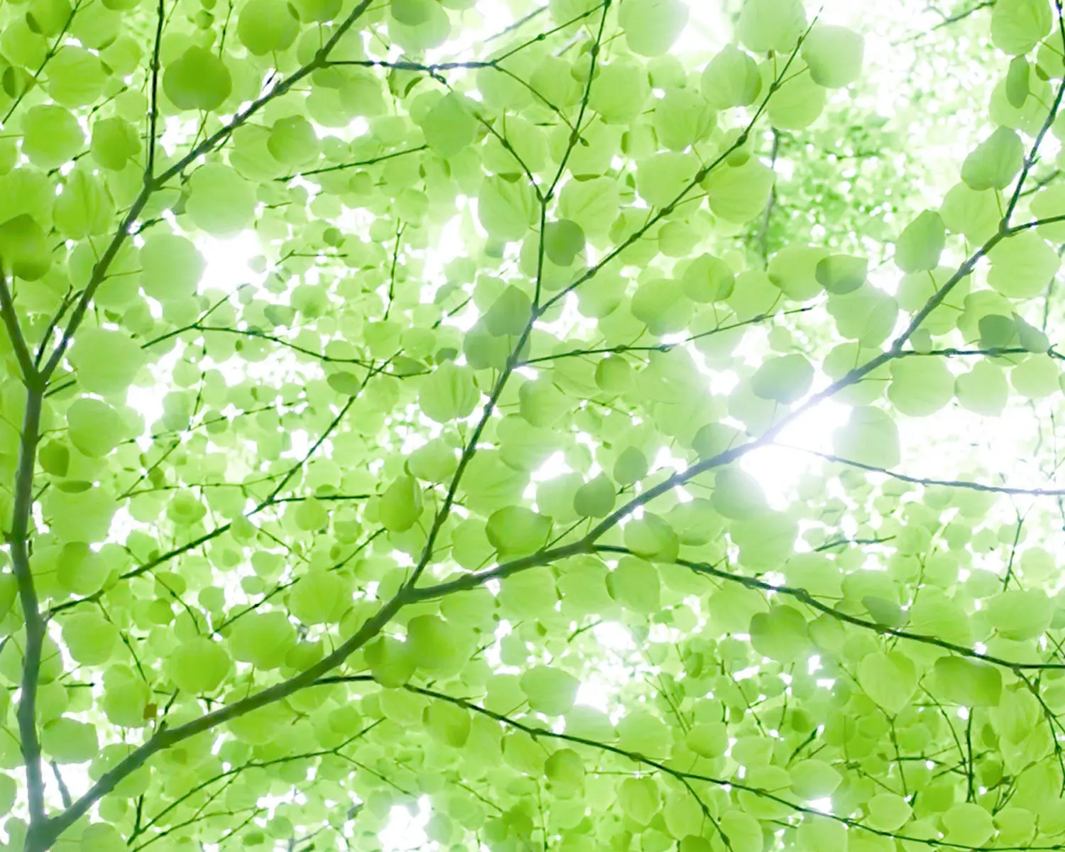 環境感のある画像